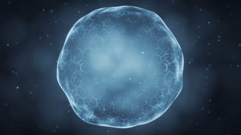 解码生物科技公司产品参数：揭秘研发背后的秘密**