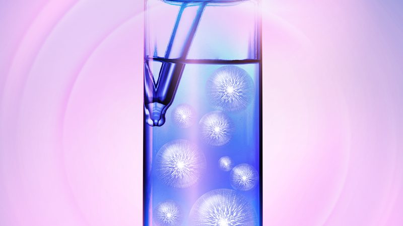 分子生物学试剂：批发采购平台的选择要点