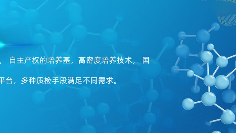 CDMO企业规模如何对比：揭秘医药外包市场的“隐形规则