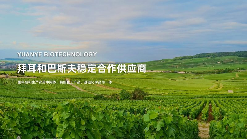 生物医药外包服务加盟，你准备好了吗？**