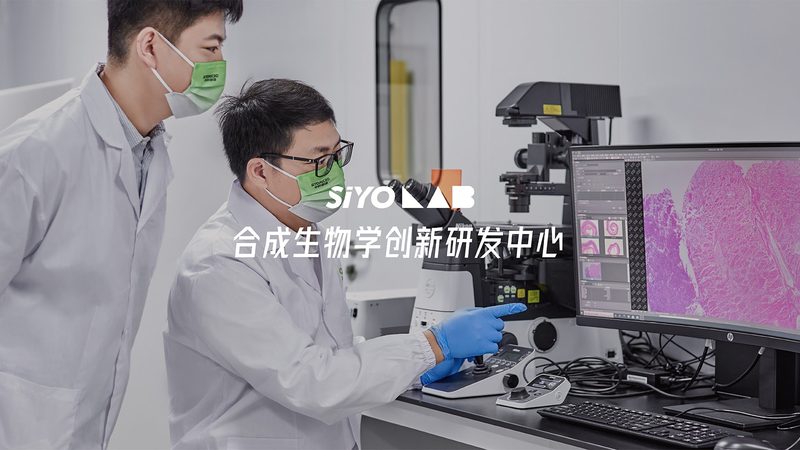 临床前外包服务：揭秘药物研发的“幕后英雄”**