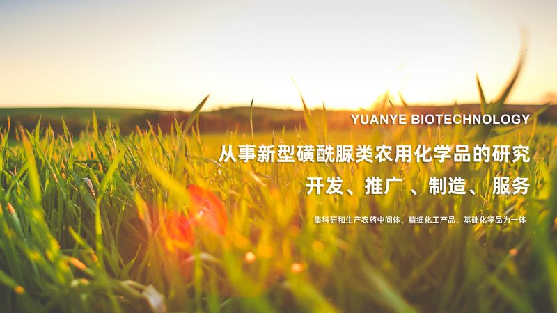 CDMO与CMO：揭秘医药研发中的关键角色