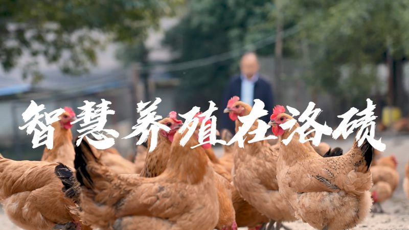 苏州生物医药产业园：起步公司入驻的绿色通道**