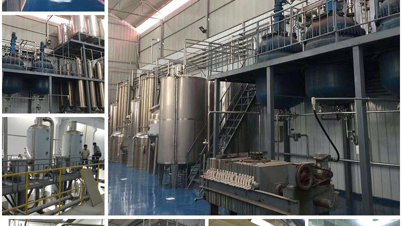 细胞培养基，助力生命科学研究的基石**
