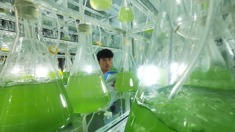 基因检测代理加盟，如何规避潜在风险？**